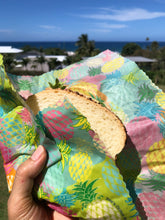 Pineapple Paradise