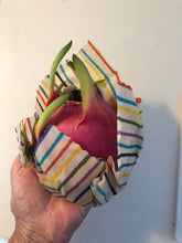 Rainbow Yarn